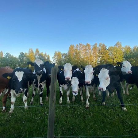 Mysig Stuga Naera Aestad Vingard & Spa Dış mekan fotoğraf